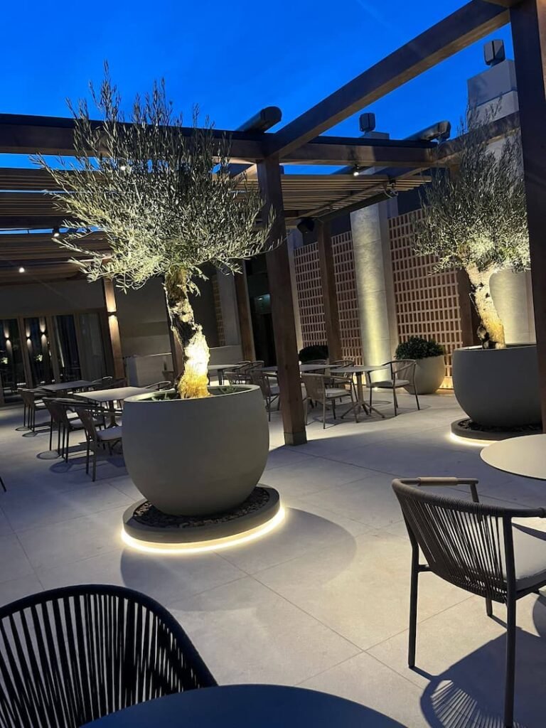 Porche de madera cubierto junto a zona de barbacoa